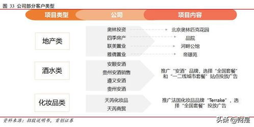 兆訊傳媒研究報告 開拓不止，賽道領航 —— 數字廣告發布的變革先鋒與未來引領者